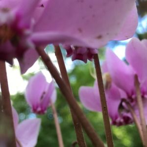 Meet your Posher, Wayne